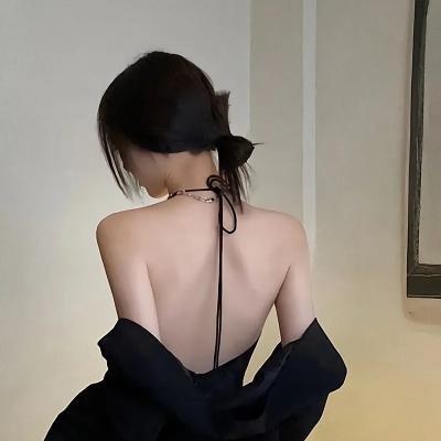 黑之契约者2：流星的双子